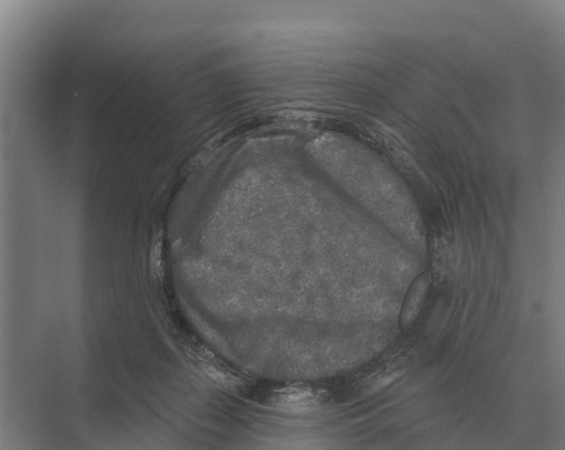 X0000071960267200608041627