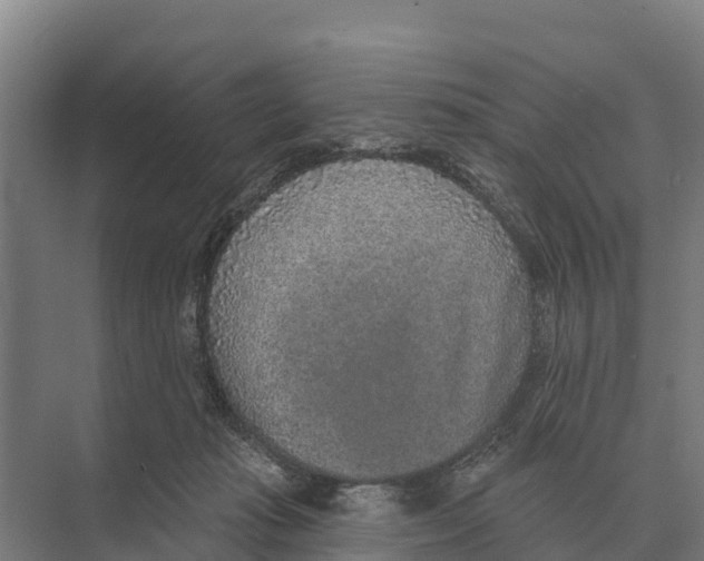 X0000071960269200608041627