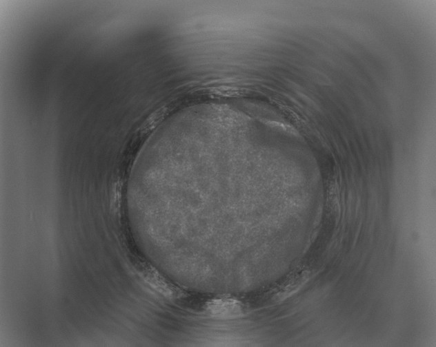 X0000071960271200608041627