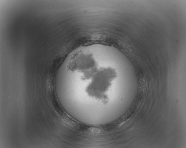 X0000071960272200608041627