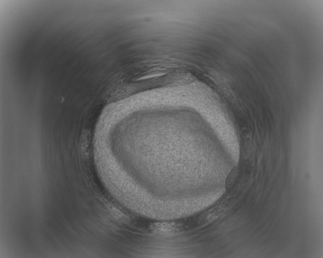 X0000071960273200608041627