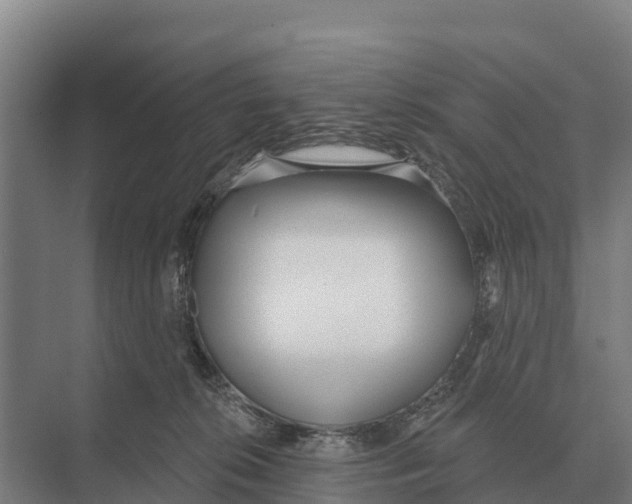 X0000071960276200608041627