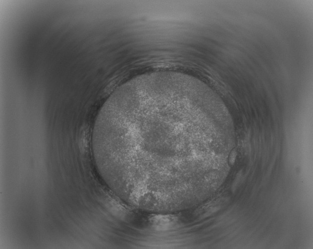 X0000071960277200608041627