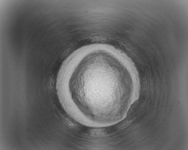 X0000071960281200608041627