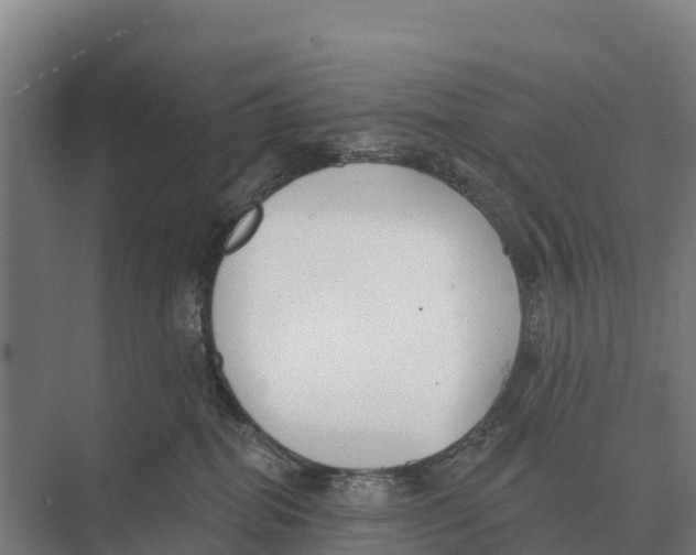 X0000071960282200608041627