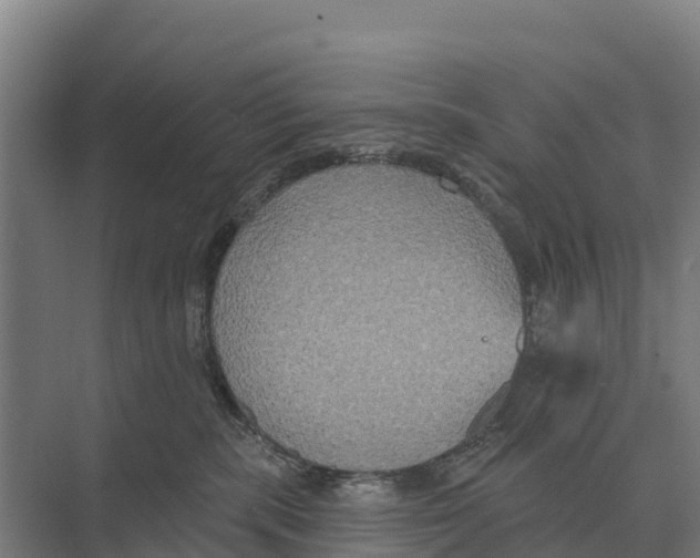 X0000071960283200608041627