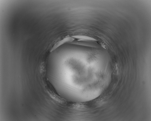 X0000071960284200608041627