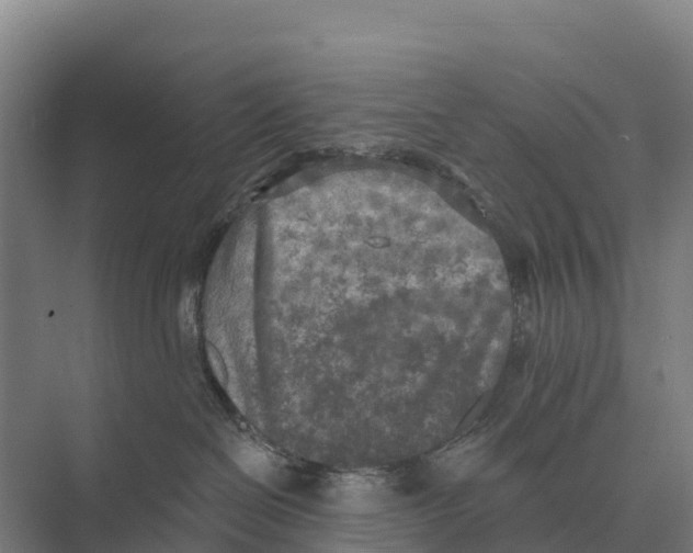 X0000071960286200608041627