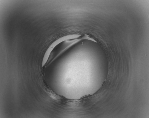 X0000071960288200608041627