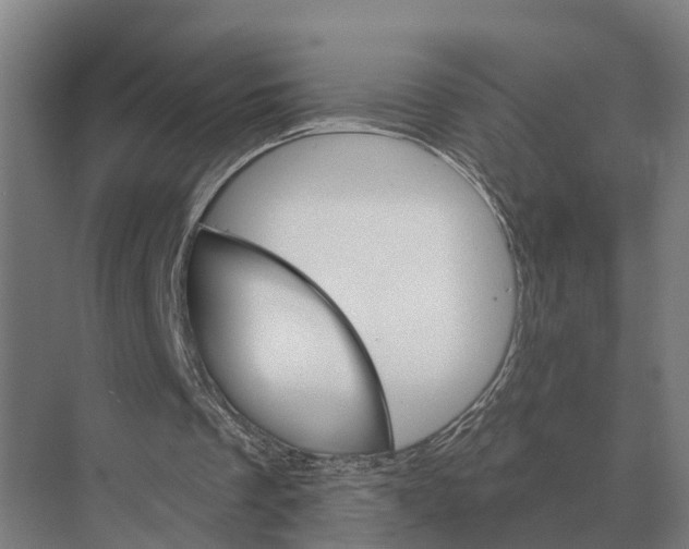 X0000071960289200608041626