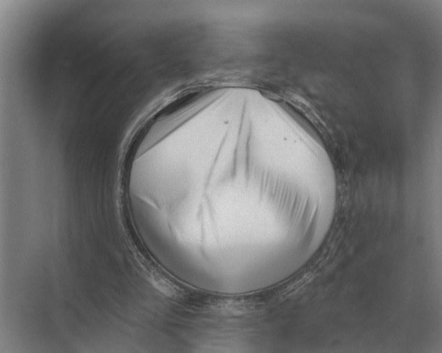 X0000071960293200608041626