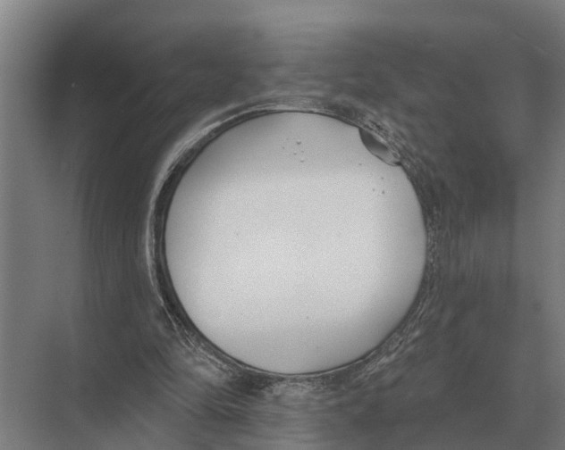 X0000071960294200608041626