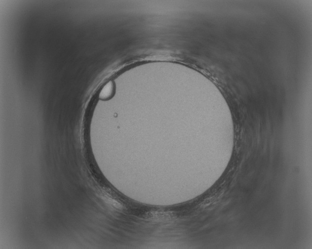 X0000071960296200608041626