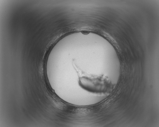 X0000071960298200608041626