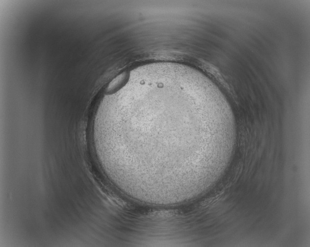 X0000071960299200608041626