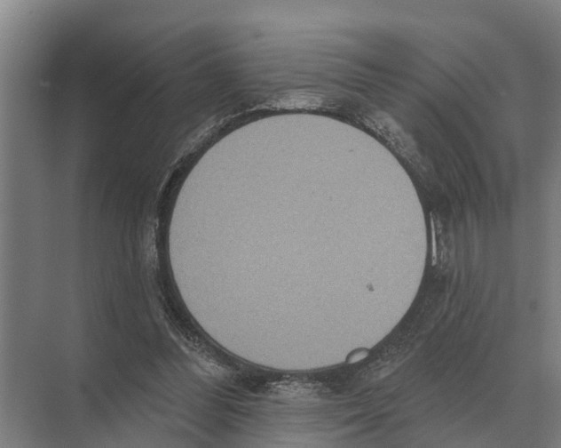 X0000071960300200608041626