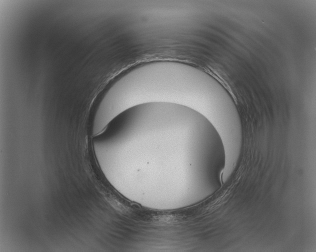 X0000071960301200608041626