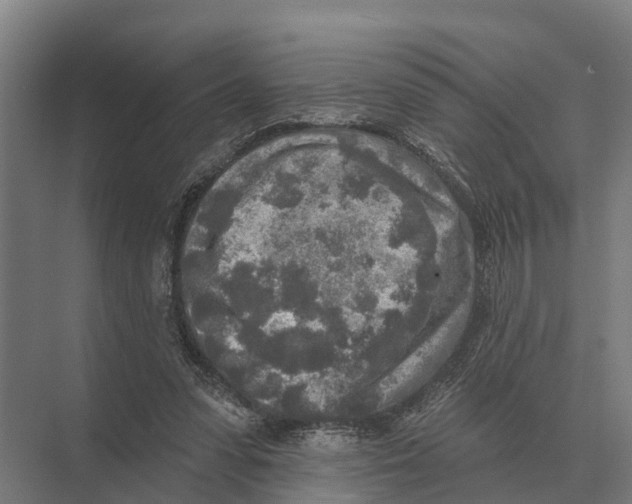 X0000071960303200608041626