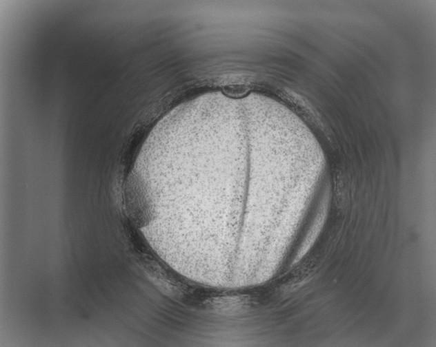 X0000071960307200608041626