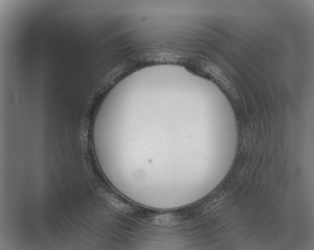 X0000071960309200608041626