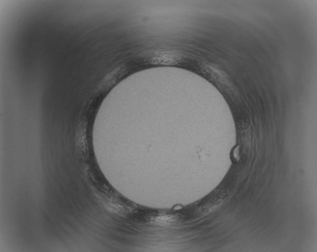 X0000071960312200608041626