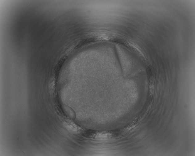 X0000071960314200608041626