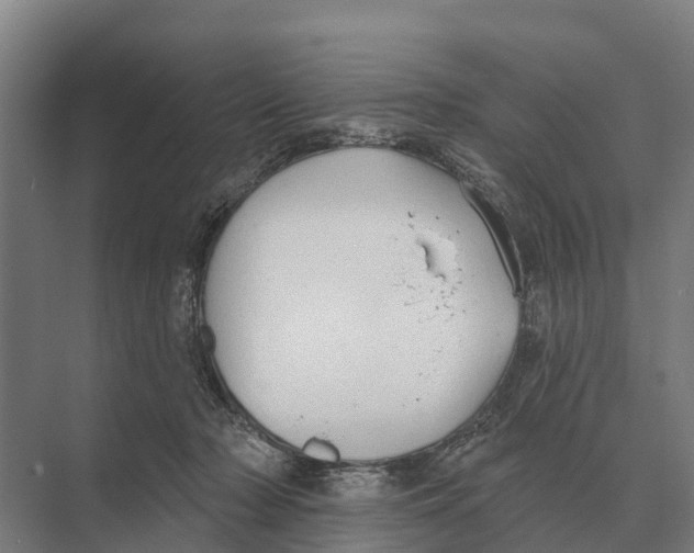 X0000071960318200608041626