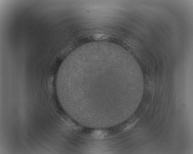 X0000071960319200608041626