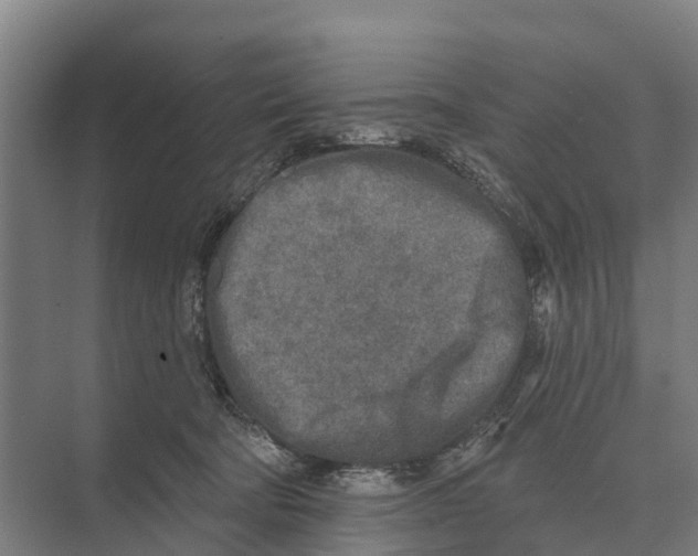 X0000071960322200608041626