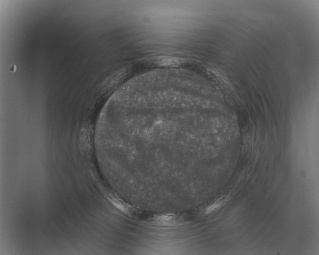 X0000071960325200608041626