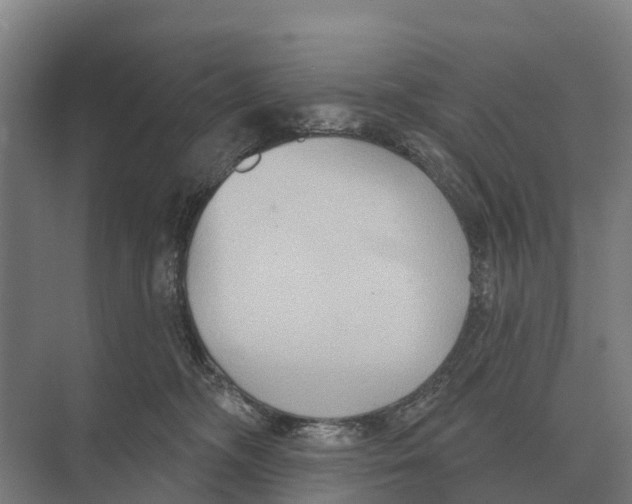 X0000071960326200608041626