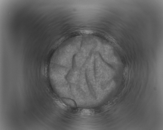 X0000071960330200608041626