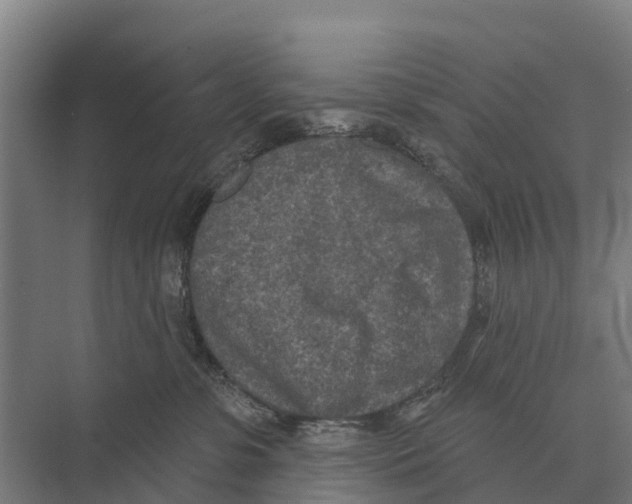 X0000071960331200608041626