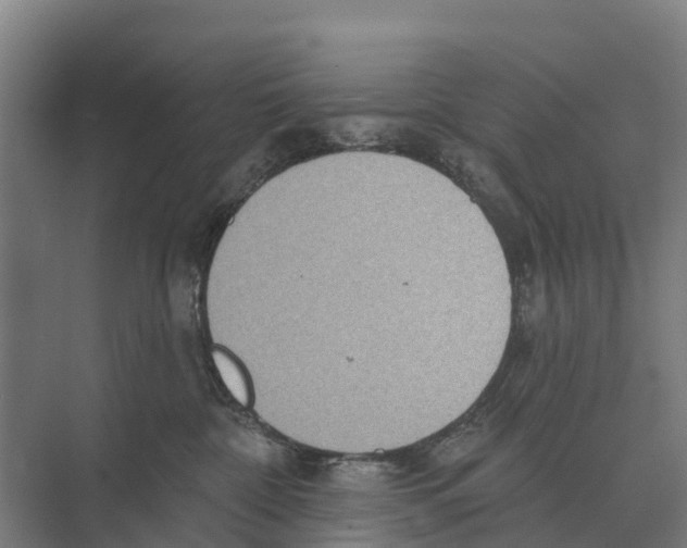 X0000071960332200608041626