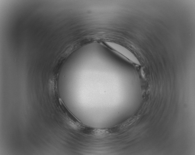 X0000071960333200608041626