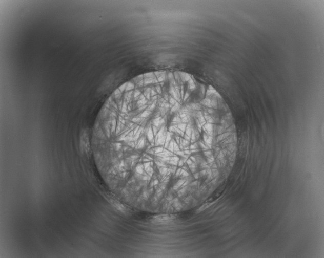 X0000071960335200608041626