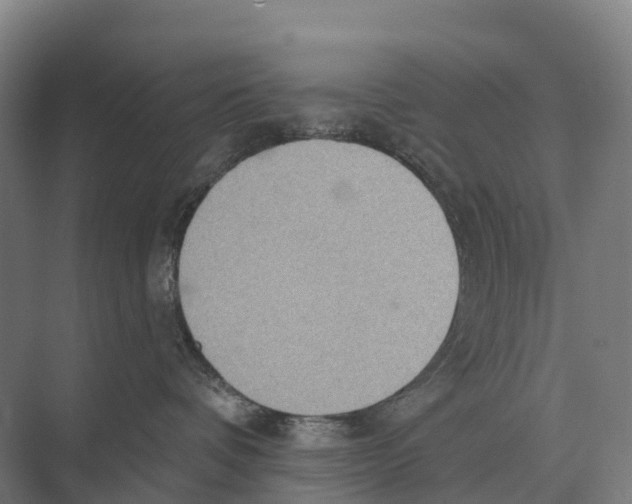 X0000071960336200608041626