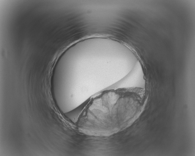 X0000071960337200608041625