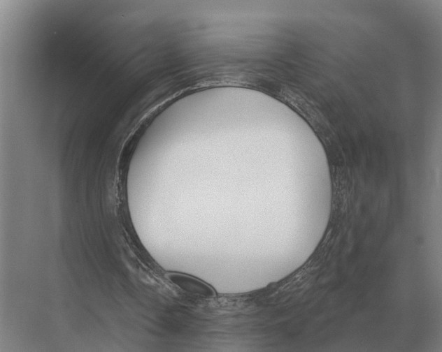 X0000071960338200608041625