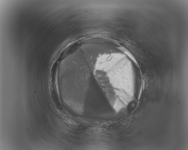 X0000071960339200608041625