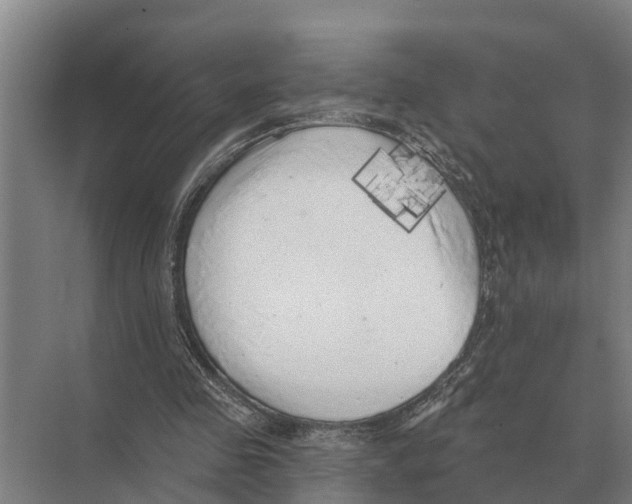 X0000071960341200608041625