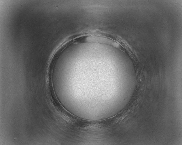 X0000071960344200608041625