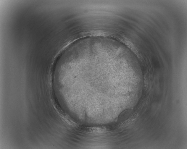 X0000071960347200608041625