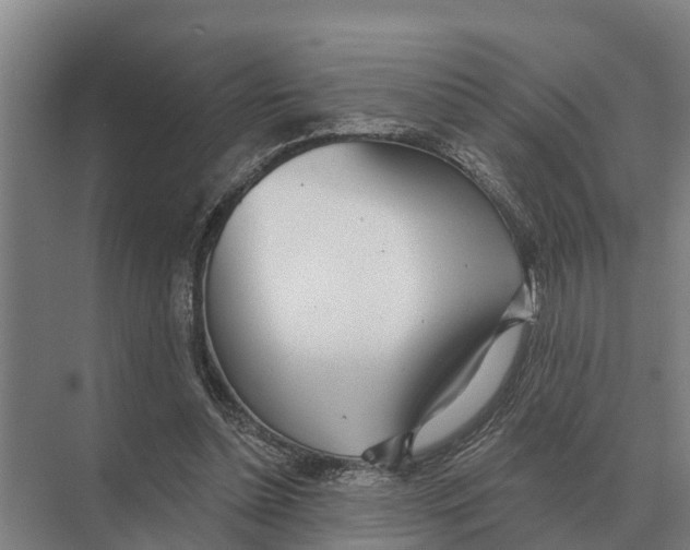 X0000071960348200608041625