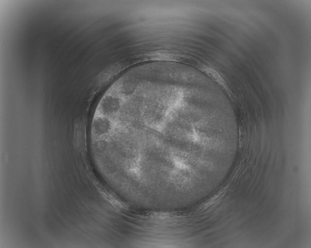 X0000071960349200608041625