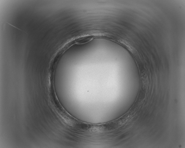 X0000071960350200608041625