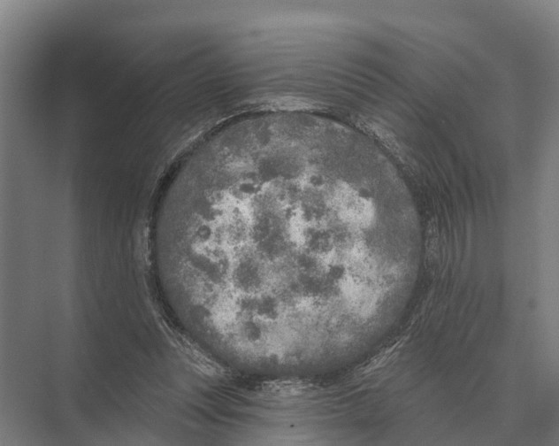 X0000071960351200608041625