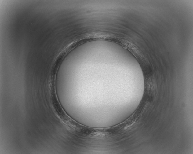 X0000071960352200608041625