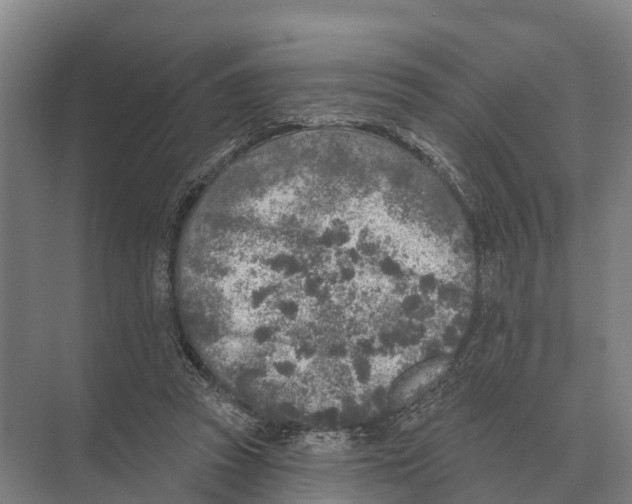 X0000071960353200608041625