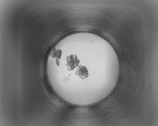 X0000071960354200608041625